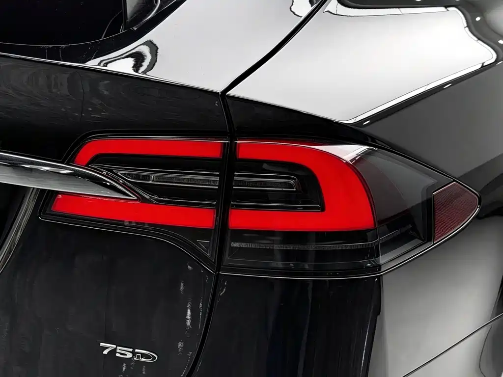 Tesla Model X — миниатюра 33