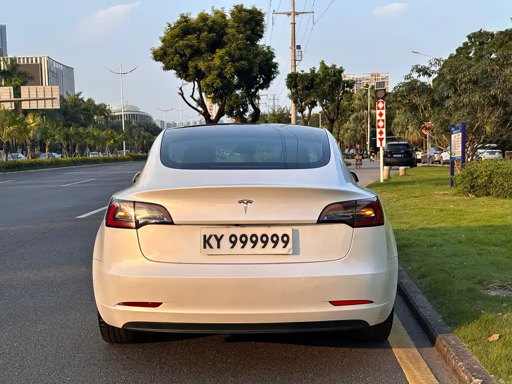 Tesla Model 3 — миниатюра 6