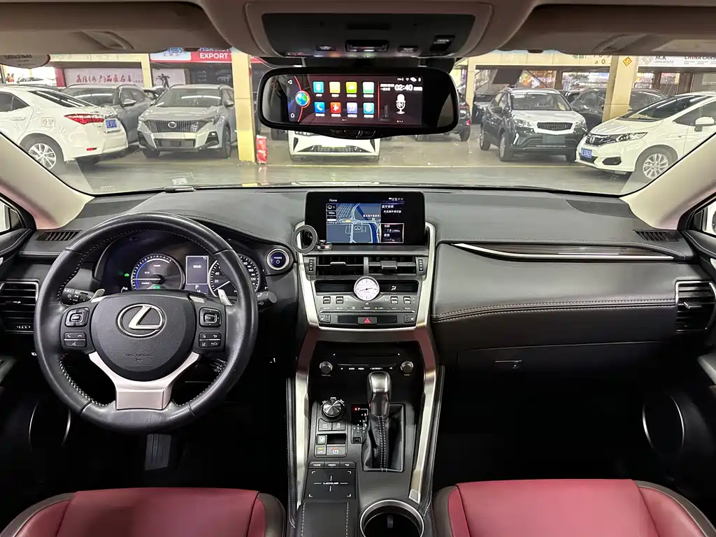 LEXUS NX