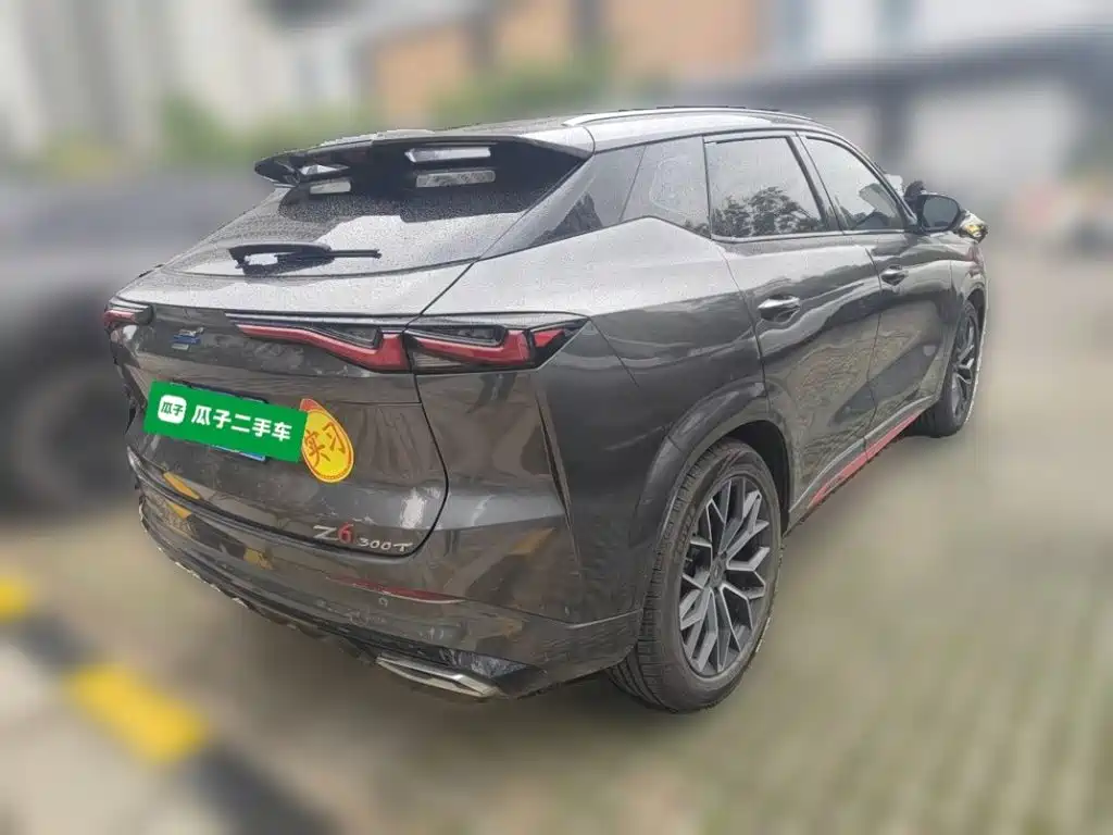 Oshan Oushang Z6 — миниатюра 6