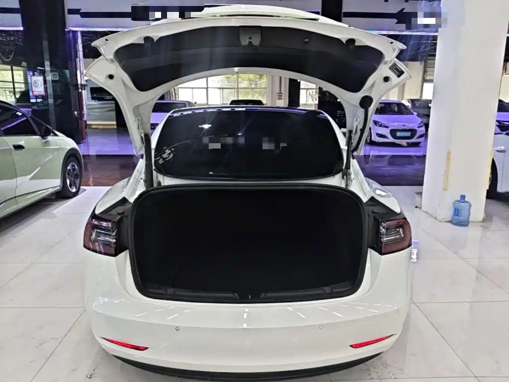Tesla Model 3 — миниатюра 19