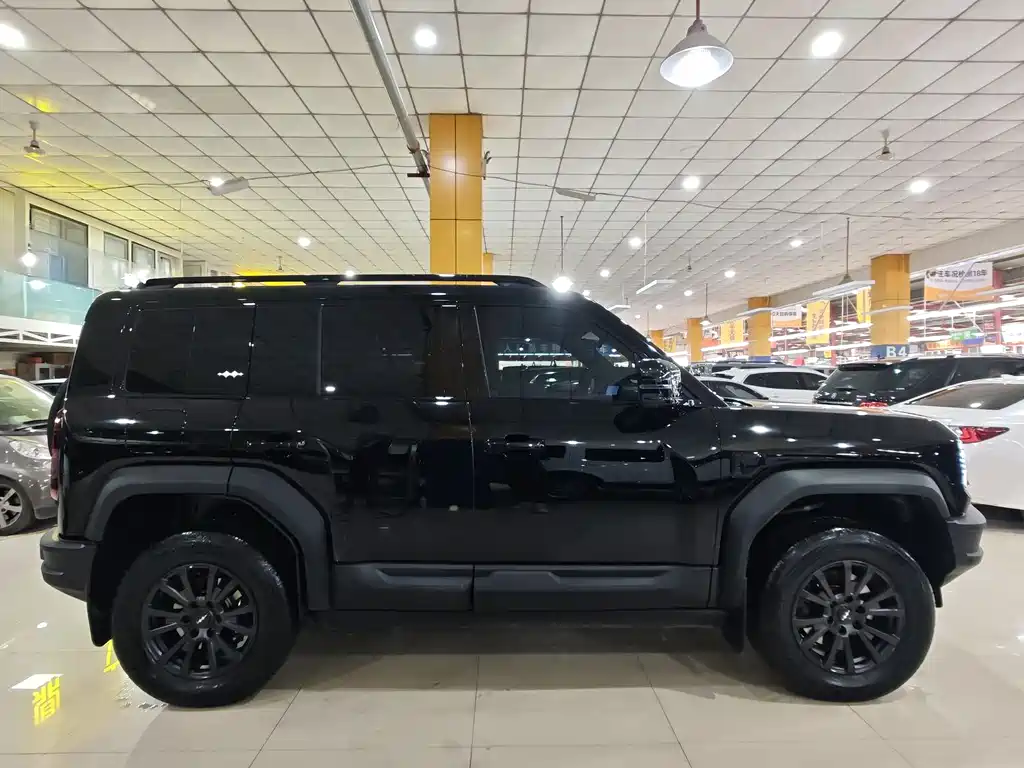 FANG CHENG BAO LEOPARD 5