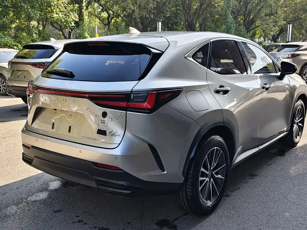 Lexus NX New Energy — миниатюра 15