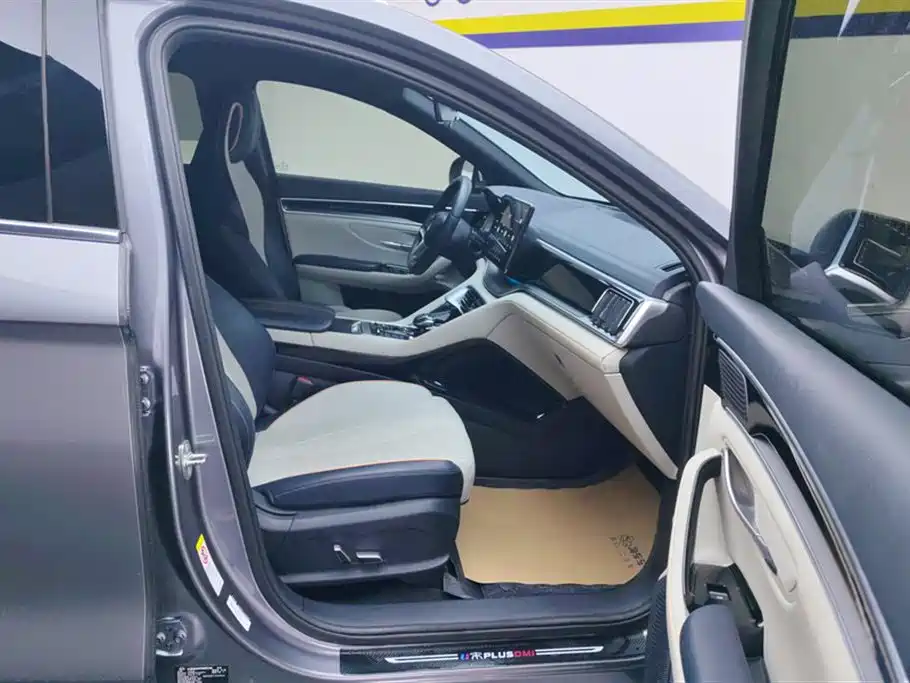 BYD SONGJIANG NEW ENERGY