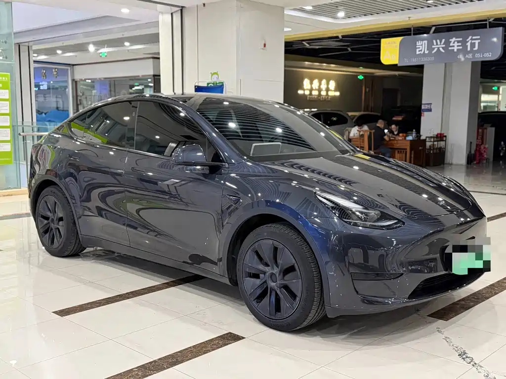 Tesla Model Y — миниатюра 3