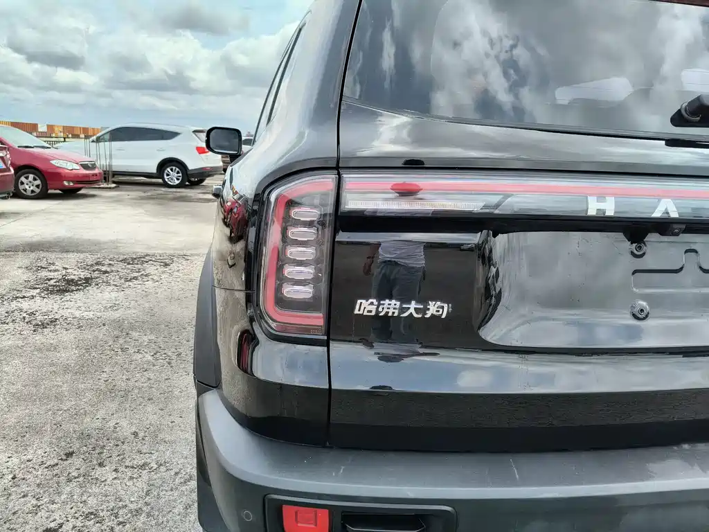 Haval Dargo 1.5T DCT Border Collie Edition, фото 30