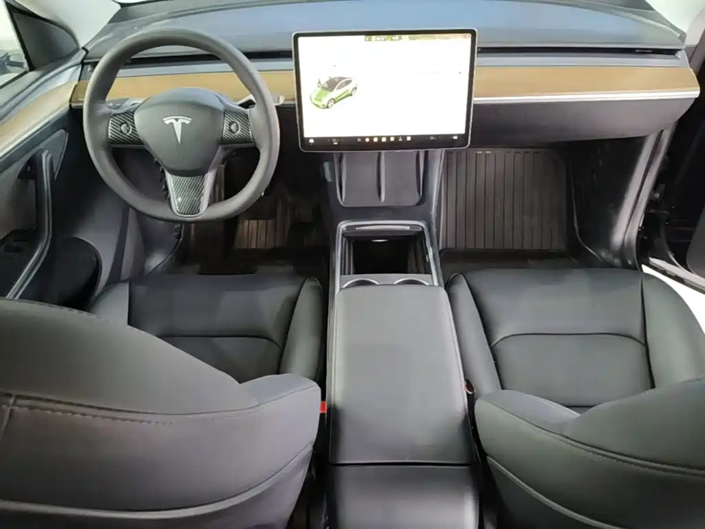 Tesla Model Y — миниатюра 10