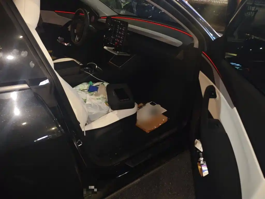 Tesla Model Y — миниатюра 18