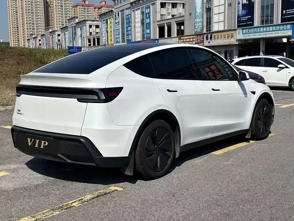 Tesla Model Y — миниатюра 3