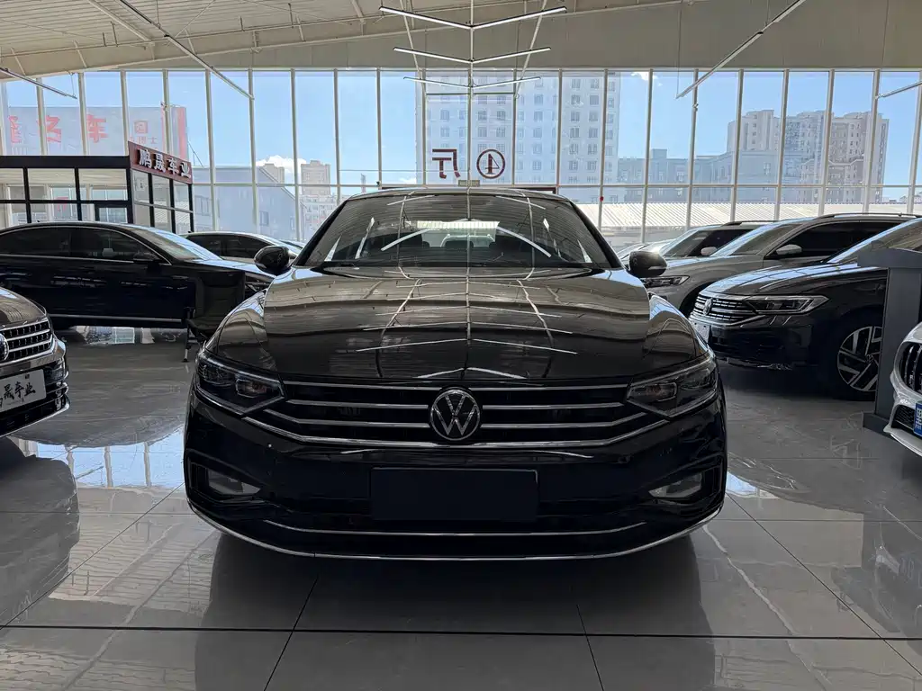 Volkswagen Magotan — миниатюра 2