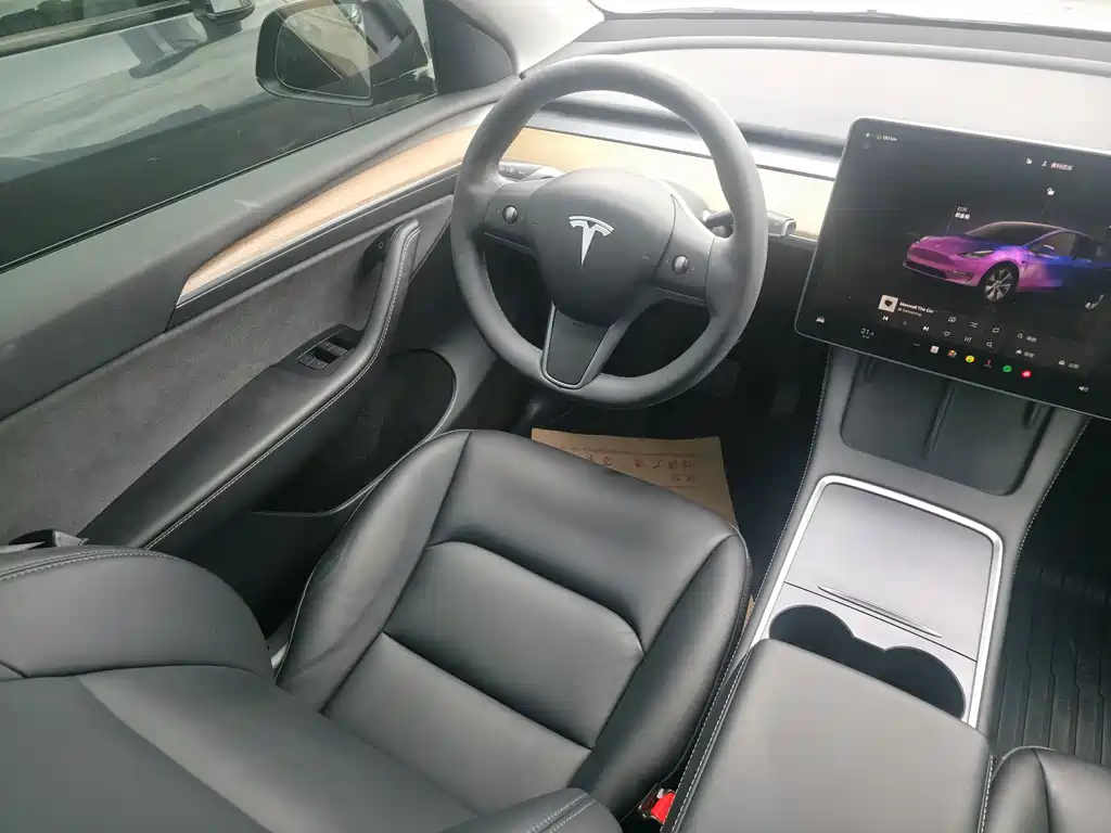Tesla Model Y — миниатюра 12