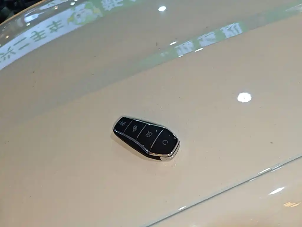 BYD Dolphin — миниатюра 9