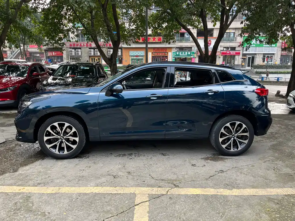 WEI PAI WEI BRAND VV7