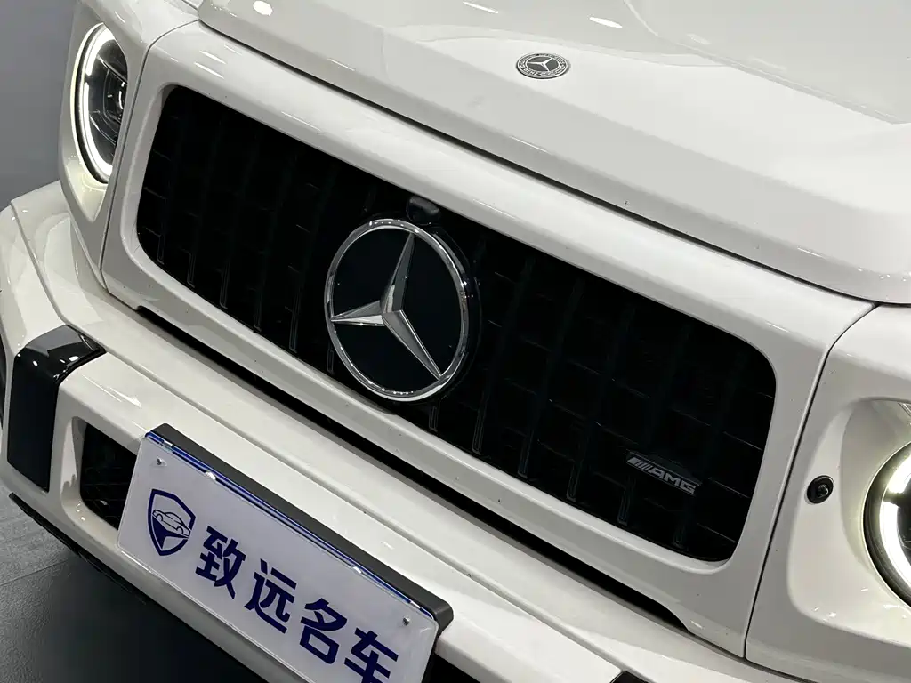 Mercedes-Benz G-Class — миниатюра 33