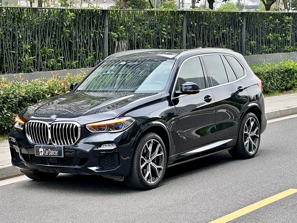 BMW X5 (Import) — миниатюра 2