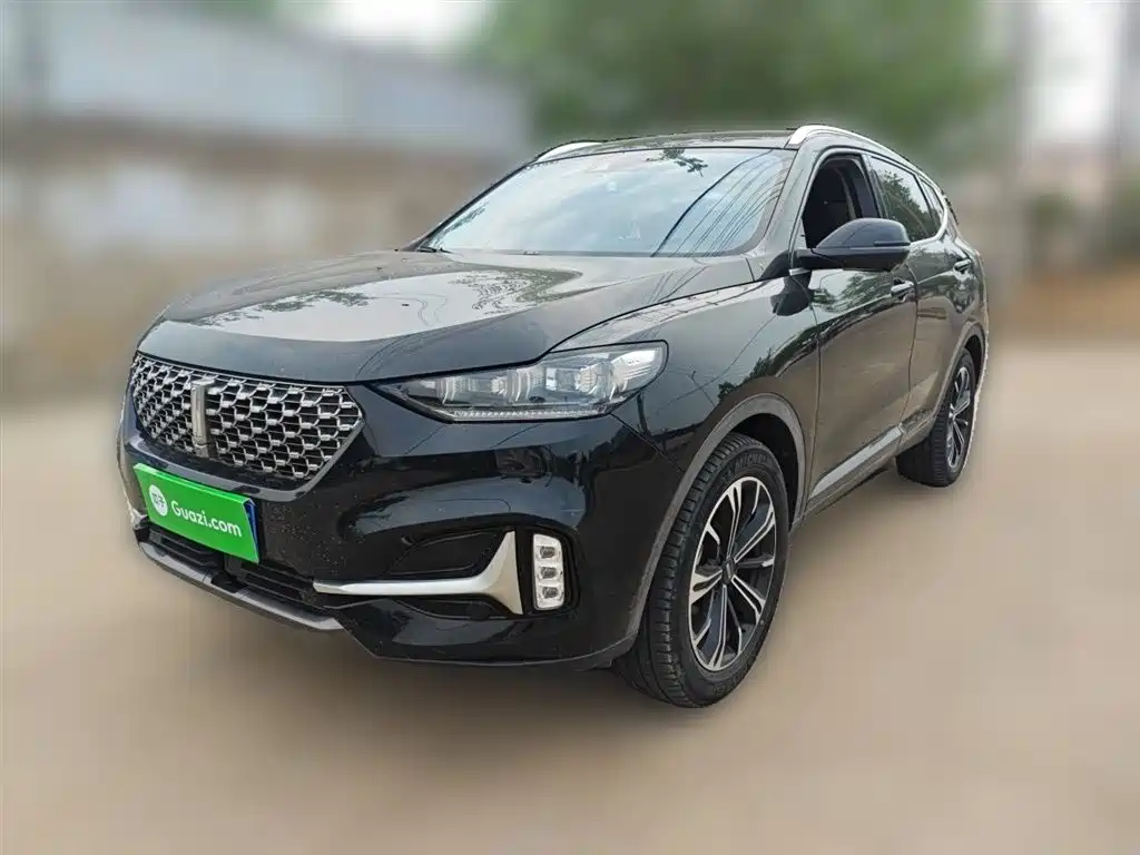 Wey Wey VV6 2021