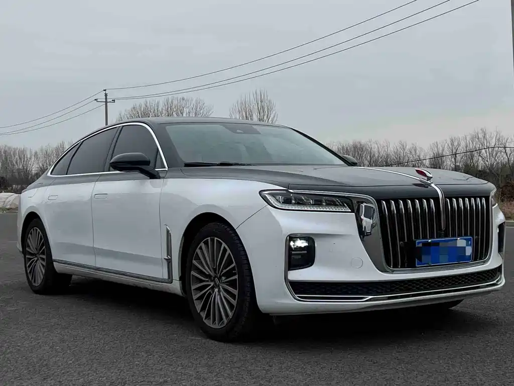 Hongqi Hongqi H9 2020