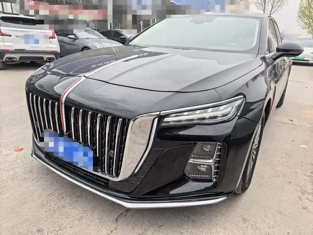 Hongqi Hongqi H5 2024