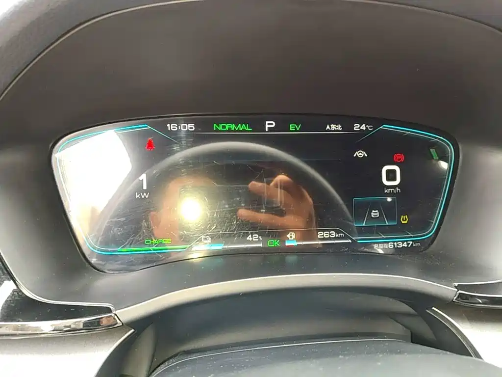 BYD PLUS New Energy — миниатюра 12