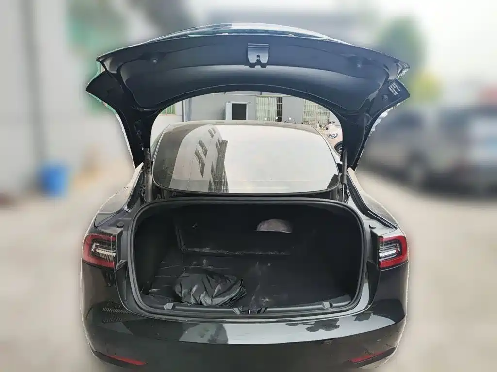 Tesla Model 3 — миниатюра 15
