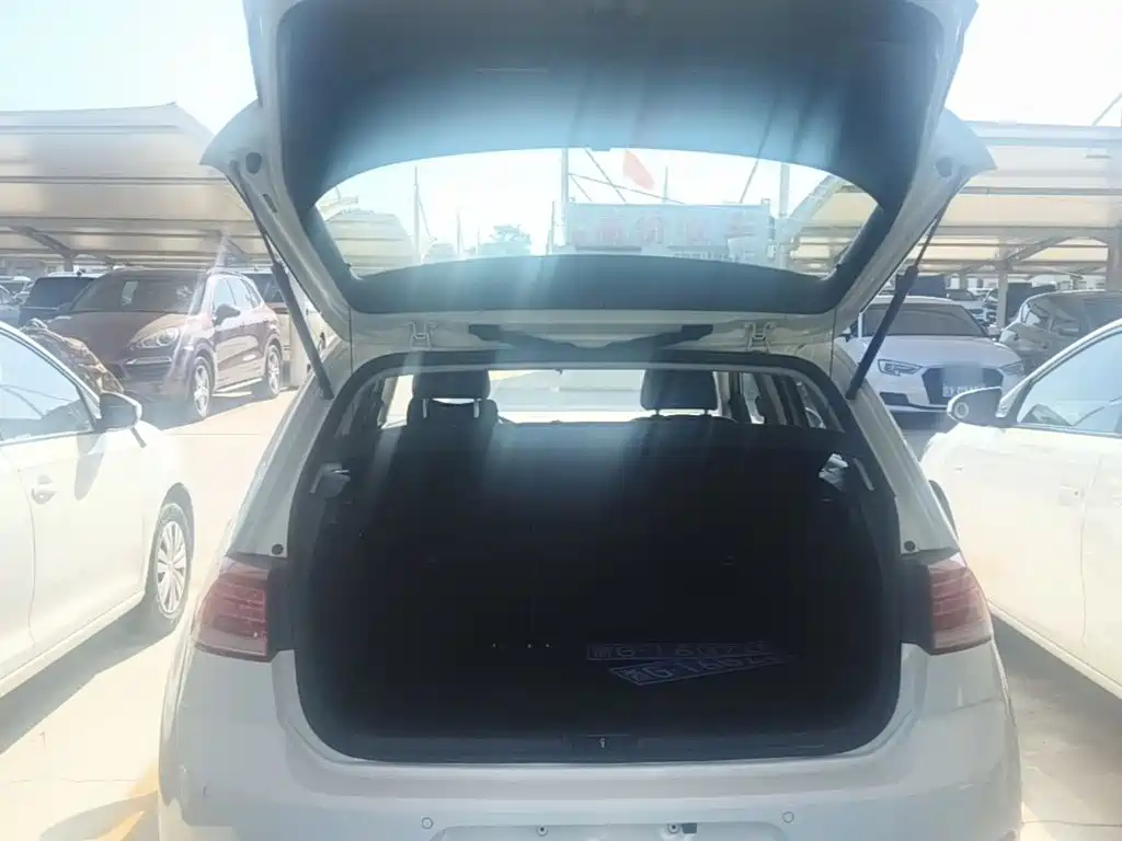 Volkswagen Golf — миниатюра 19