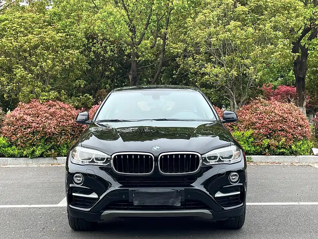 BMW X6 2017 xDrive35i Lead