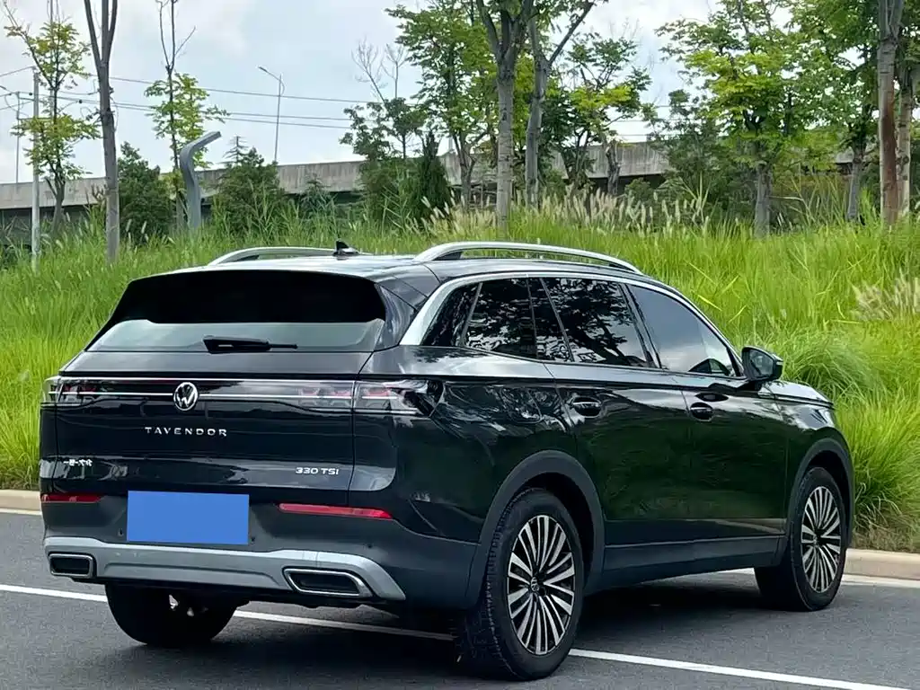 Volkswagen Tavendor — миниатюра 7