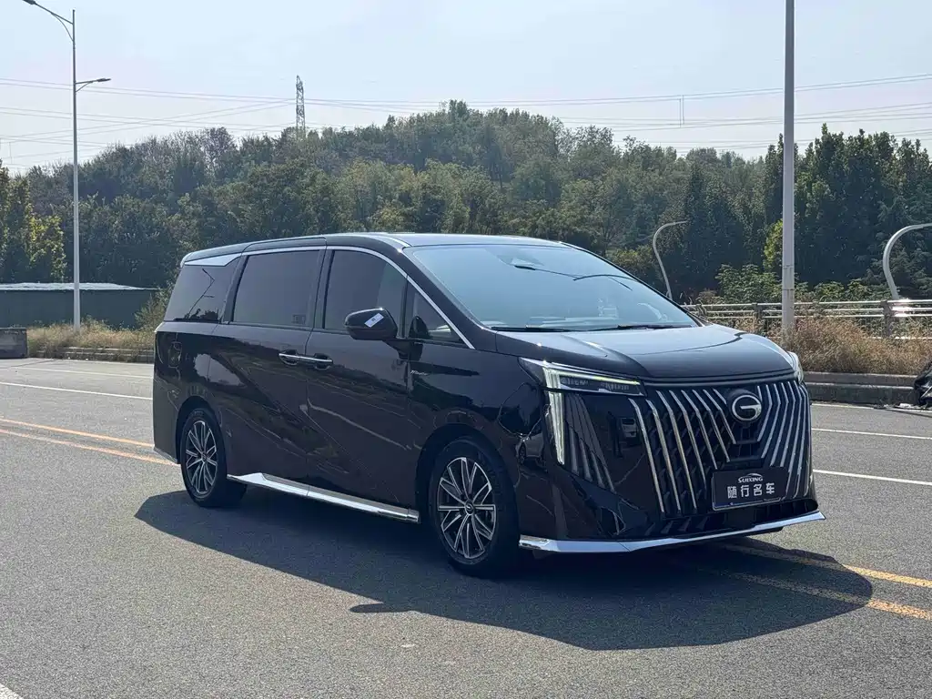 GAC Motor Trumpchi M8 — миниатюра 3