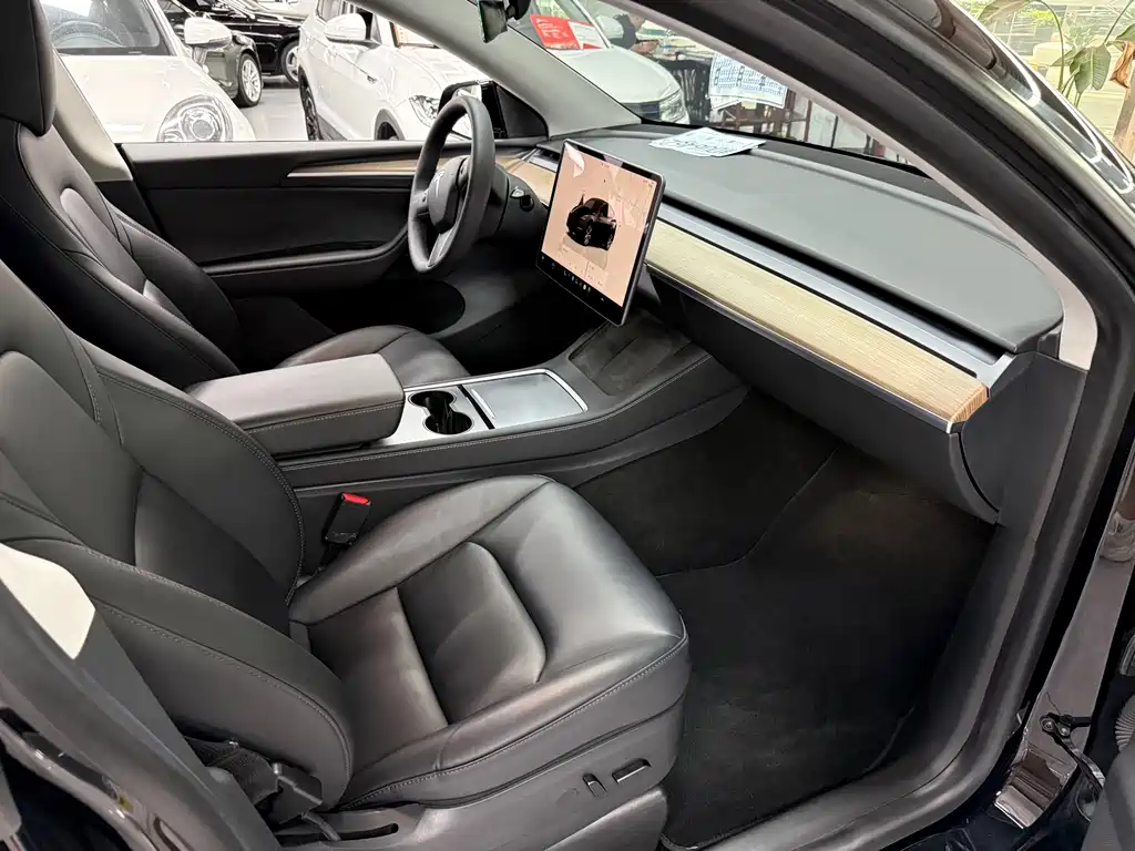Tesla Model Y — миниатюра 13