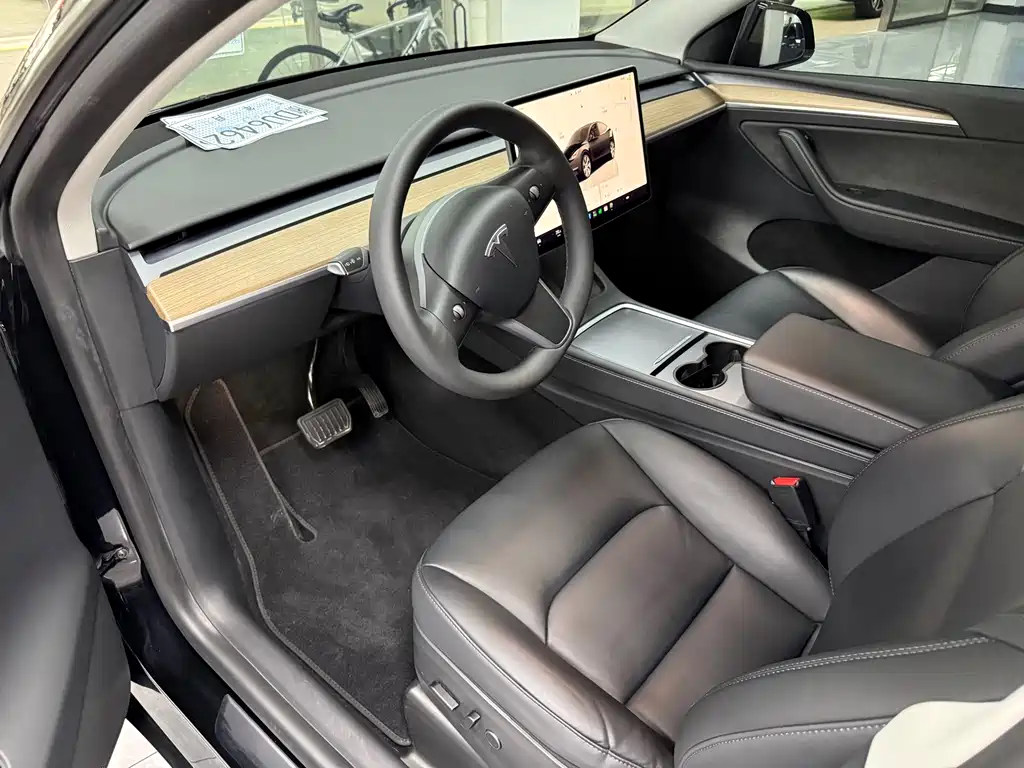 Tesla Model Y — миниатюра 4