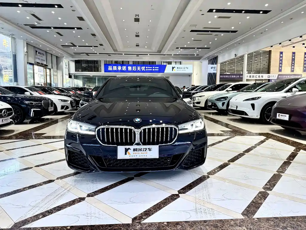 BMW 5 Series — миниатюра 3