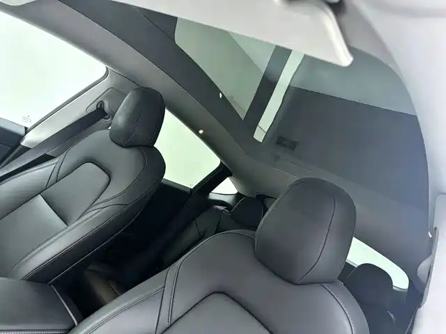 Tesla Model Y — миниатюра 13