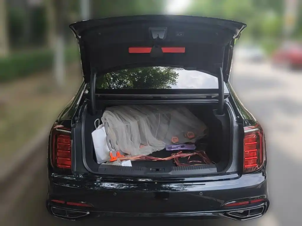 Hongqi Hongqi H9 — миниатюра 10