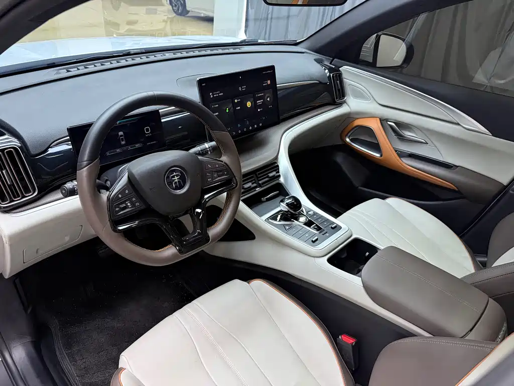BYD Pro New Energy — миниатюра 14