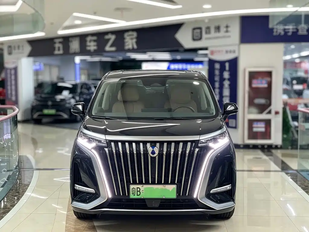 Denza Denza D9 — миниатюра 2