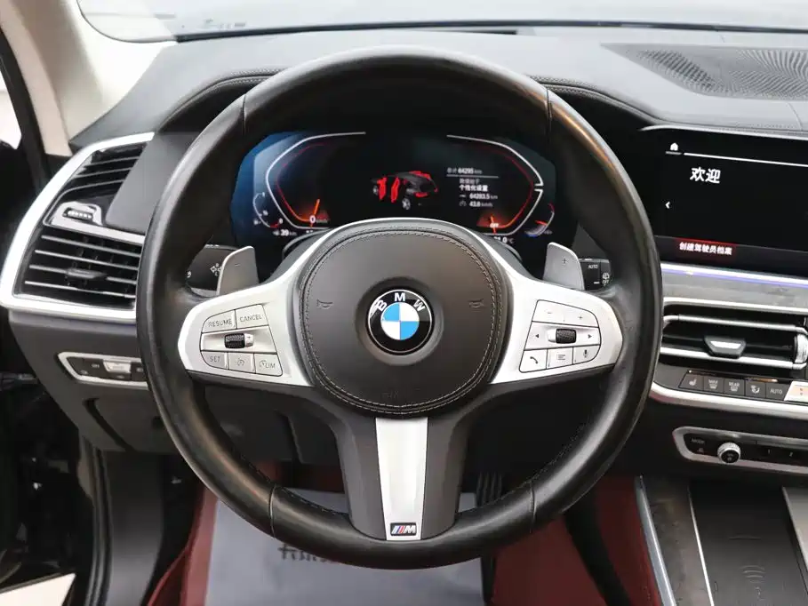 BMW X5 — миниатюра 15