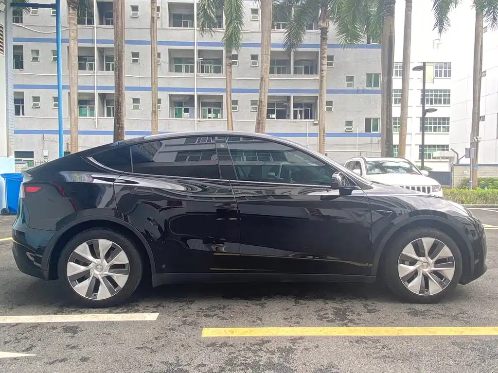 Tesla Model Y — миниатюра 4
