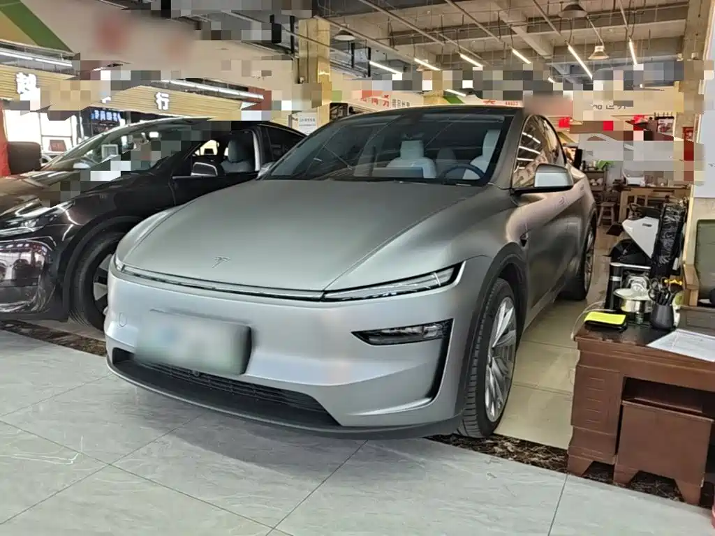 Tesla Model Y — миниатюра 2