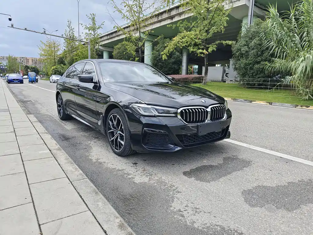 BMW 5 Series — миниатюра 3