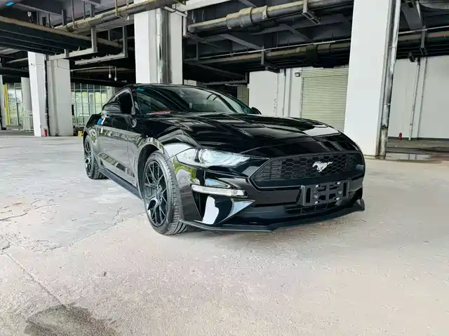 FORD MUSTANG 2019
