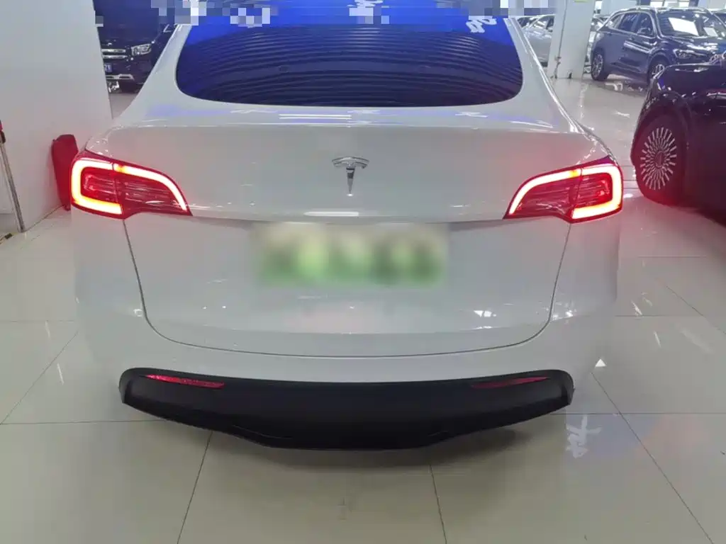 Tesla Model Y — миниатюра 6