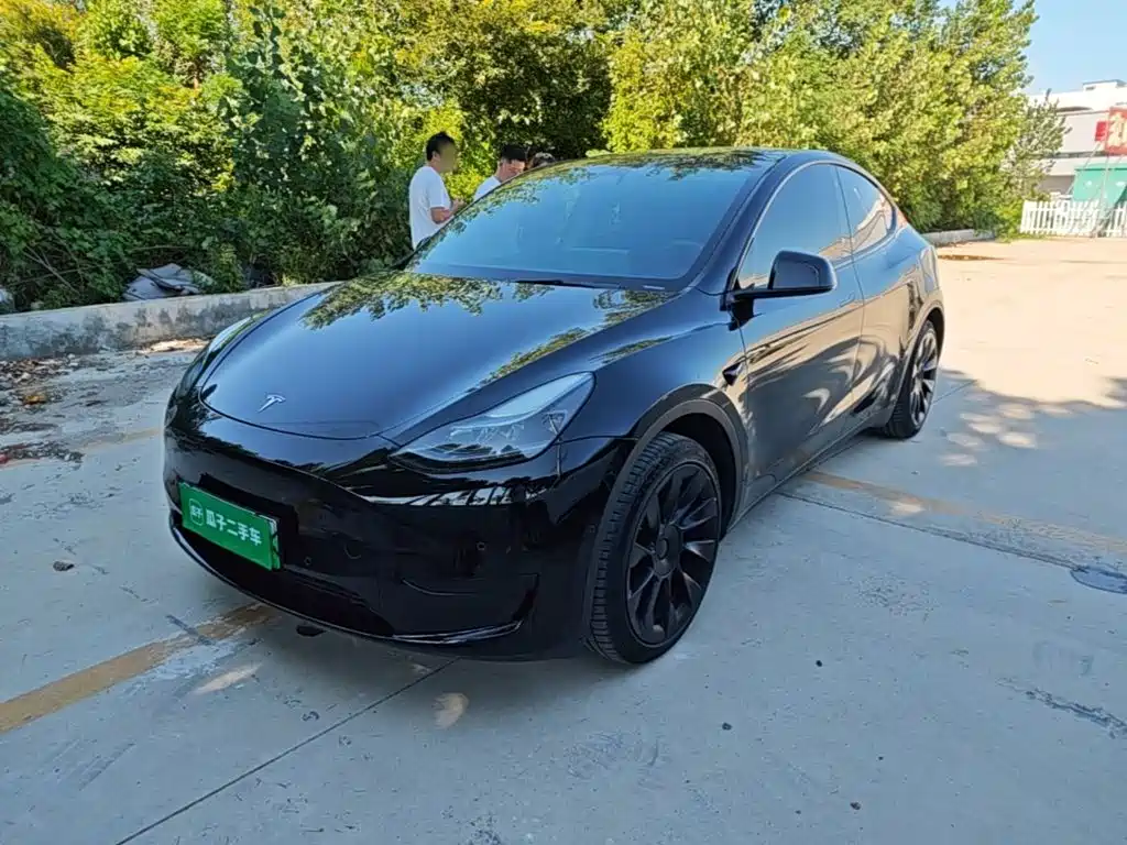 Tesla Model Y — миниатюра 2