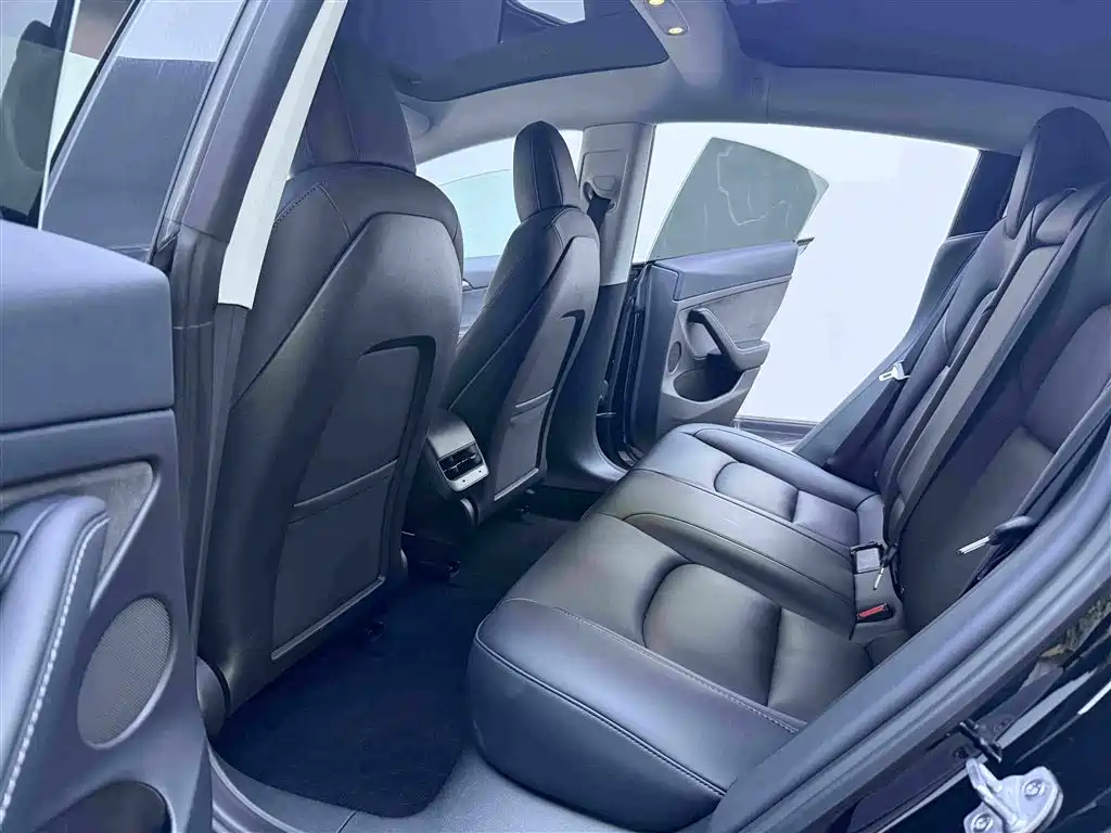 Tesla Model 3 — миниатюра 13