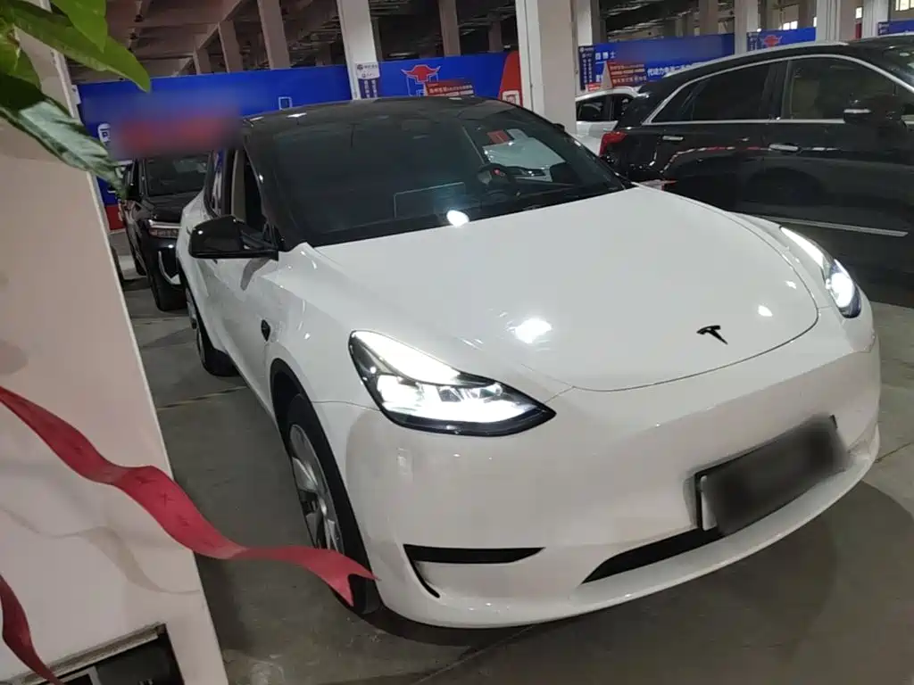 Tesla Model Y — миниатюра 4