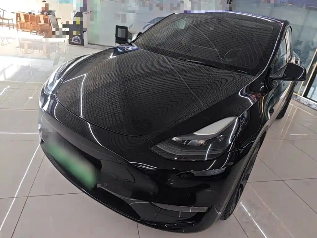 Tesla Model Y — миниатюра 2