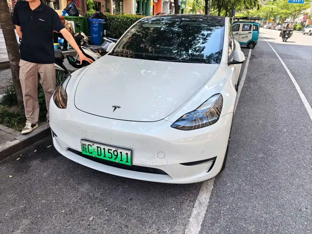 Tesla Model Y — миниатюра 2