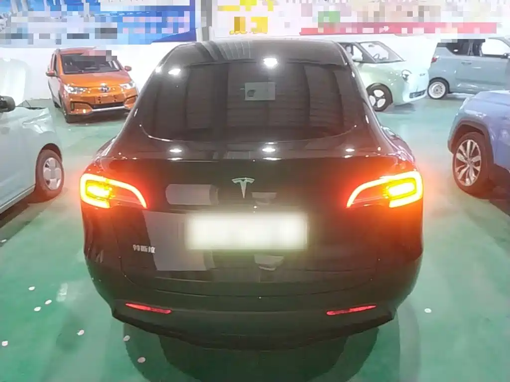 Tesla Model Y — миниатюра 6