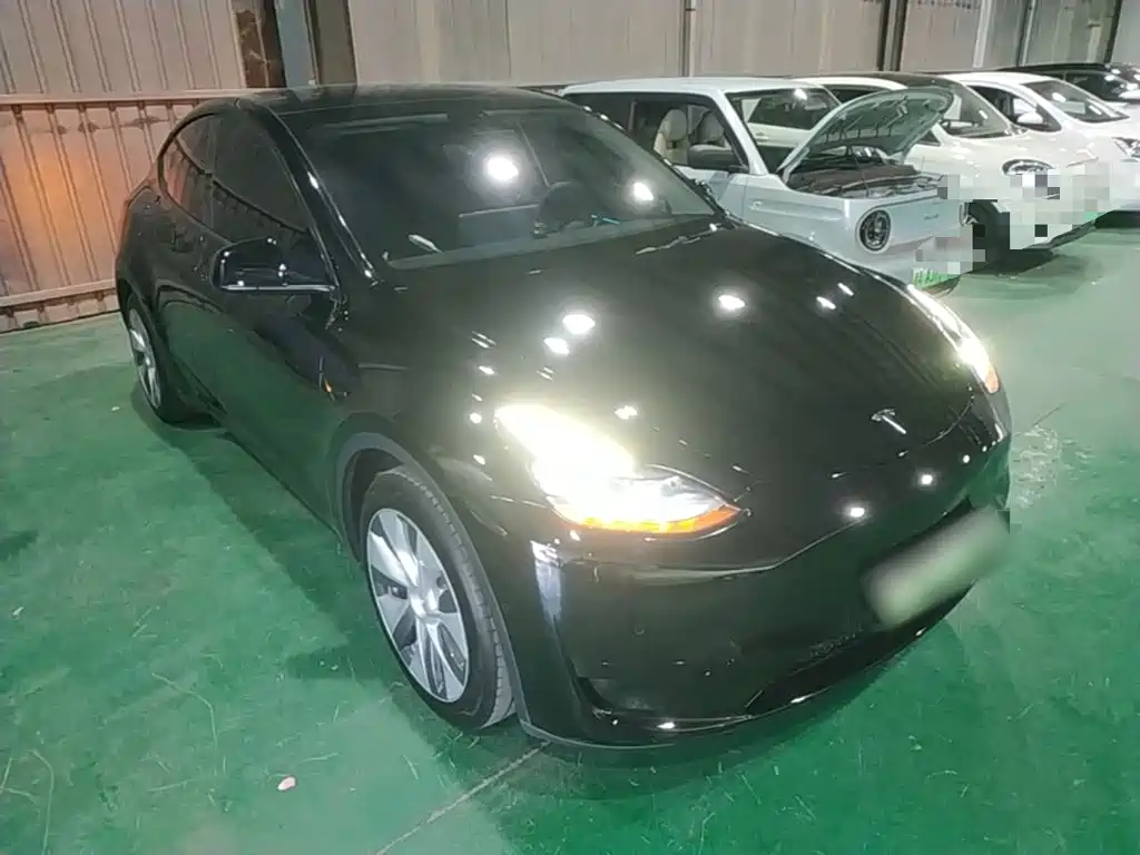 Tesla Model Y — миниатюра 4