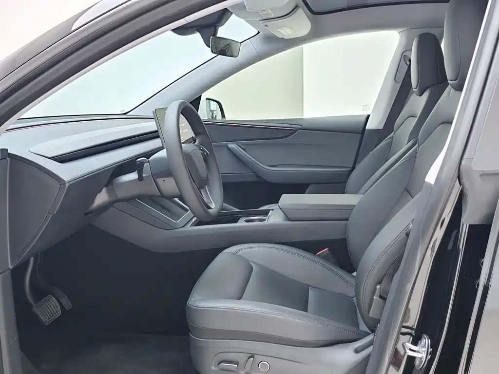 Tesla Model Y — миниатюра 4