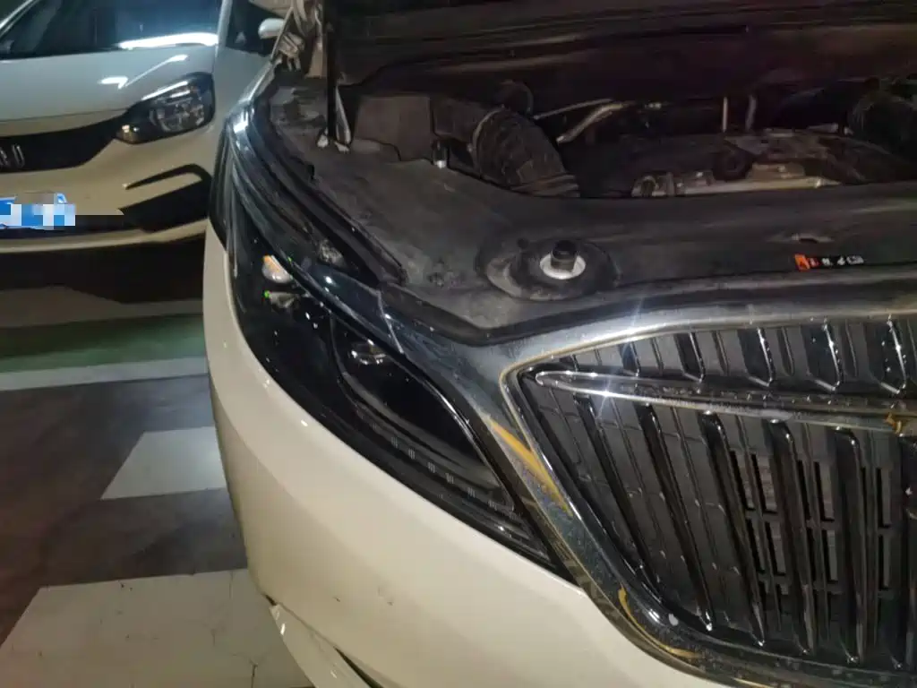 Buick GL8 — миниатюра 7